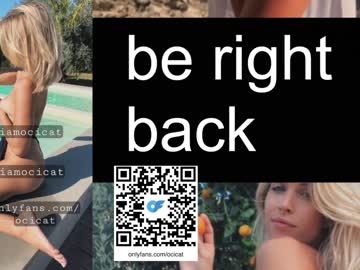cam girl porn ocicat image #5829133