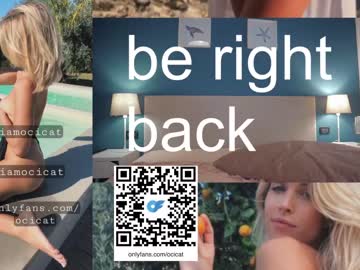 cam girl porn ocicat image #5706976