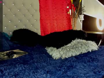 cam man porn mrlouiss image #30769