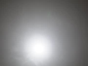 cam girl porn neferpita image #6812353