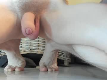 cam man porn viksons image #5388599