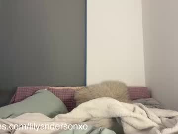 cam girl porn anderson_lily image #6507339