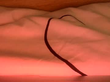 cam girl porn xprsv image #4120599