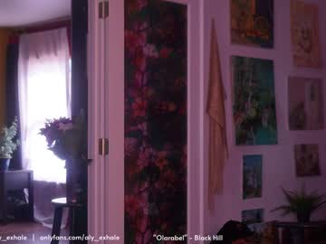 cam girl porn _exhale image #1352401