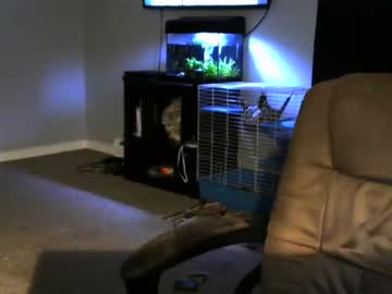 cam man porn sean0203 image #199092