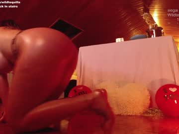 cam girl porn wildtequilla image #1152970