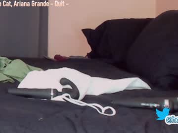 cam girl porn hollyextra image #2286685