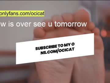 cam girl porn ocicat image #2533403