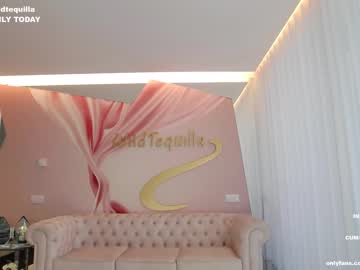 cam girl porn wildtequilla image #4713732