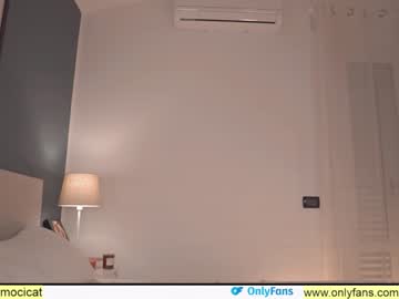 cam girl porn ocicat image #3336294