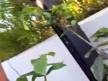 cam girl porn _frankie_rivers image #4113943