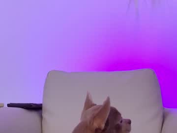 cam girl porn sapphirealice image #249213