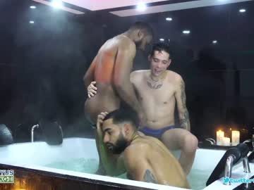 cam man porn querhyus image #2919654