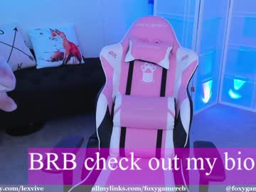 cam girl porn foxy_gamer image #2475967