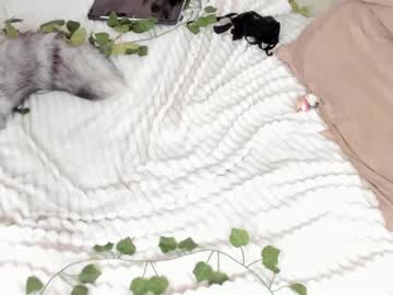 cam girl porn _servuss_ image #2295370