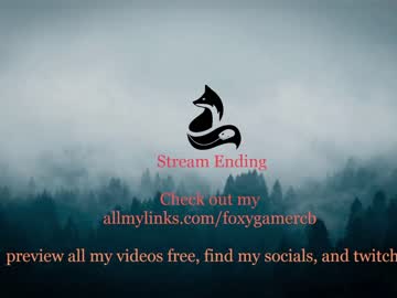 cam girl porn foxy_gamer image #3144444