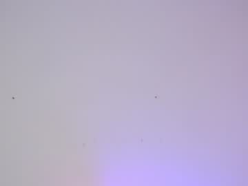 cam girl porn sapphirealice image #1438179